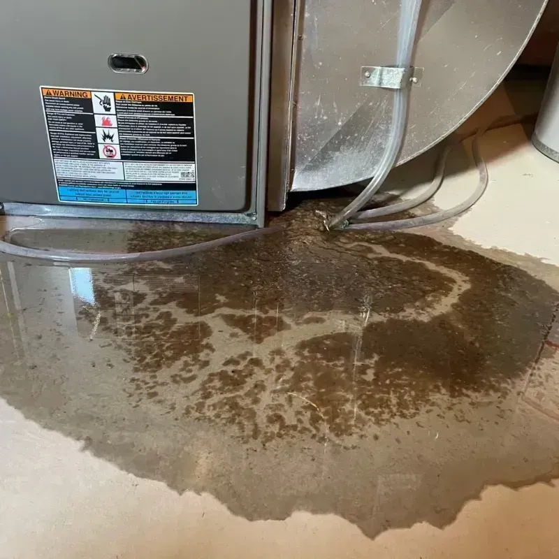 Appliance Leak Cleanup in Halls, TN